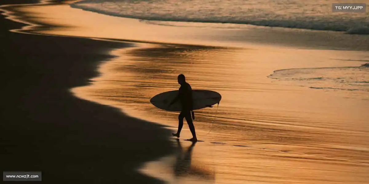 行业领先的理由